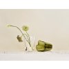 Váza Alvar Aalto iittala 27 cm mechově zelená