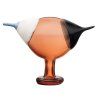 BBT Blue Magpie 250x175mm Seville orange