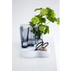 Miska Alvar Aalto iittala 5x38 cm velká bílá