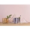 Váza Alvar Aalto iittala 16 cm čirá