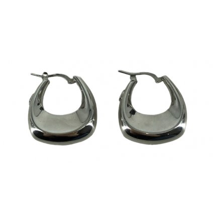 14kt White Gold Earrings