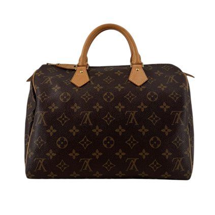 LOUIS VUITTON Speedy 30 Damier Ebene Canvas Bag