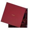 CARTIER Red Printed Scarf
