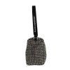 ALEXANDER WANG Crystal Pouch Bag