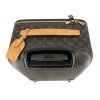 LOUIS VUITTON Pegase Canvas Suitcase