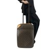 LOUIS VUITTON Pegase Canvas Suitcase