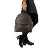 LOUIS VUITTON Palm Springs Monogram Backpack
