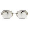 CARTIER Self-darkening Sunglasses