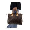 LOUIS VUITTON Speedy 30 Damier Ebene Canvas Bag