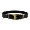 ALBERTA FERRETTI Dark Brown Gold Belt