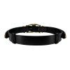 ALBERTA FERRETTI Dark Brown Gold Belt