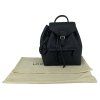 LOUIS VUITTON Montsouris PM Backpack