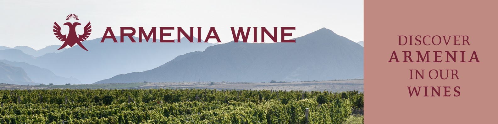 Armenia wine