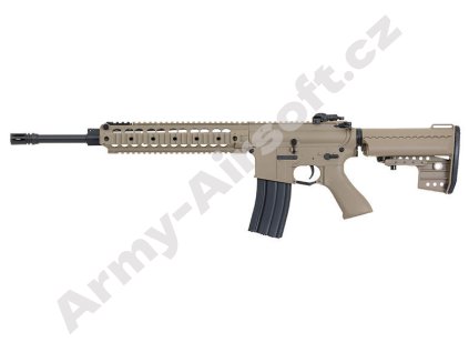 coyote 1