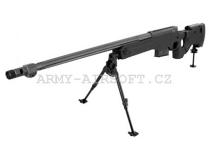 Airsoft Sniper AW .338 ASG  Airsoft
