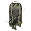 Batoh ASSAULT 30l vz.95 les  Army shop