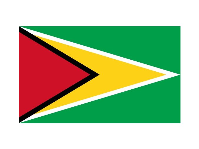 Vlajka Guyany o velikosti 90 x 150 cm