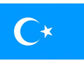 800px Eastern Turkistan Flag.svg