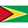 Vlajka Guyany o velikosti 90 x 150 cm