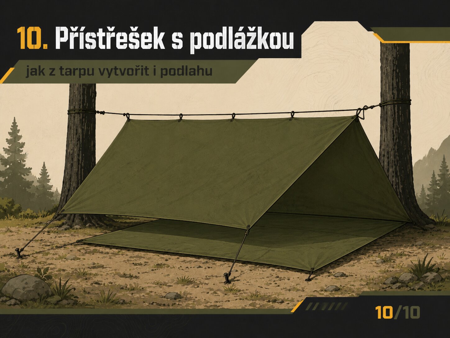 tarp1
