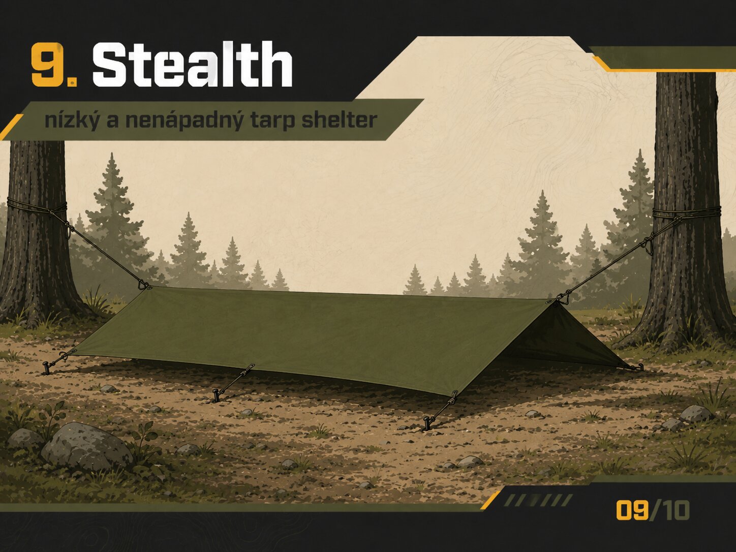 tarp1