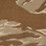 Desert Tiger Stripe