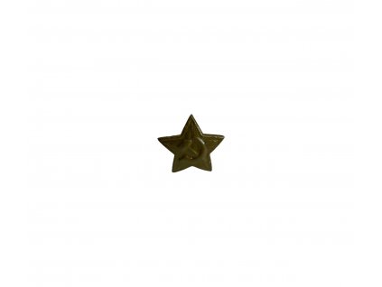 hvezda rusko cepice zelena(1)
