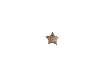 Odznak ČSLA hvězda mořená - malá