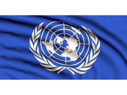 Vlajka OSN 90x150cm č.63
