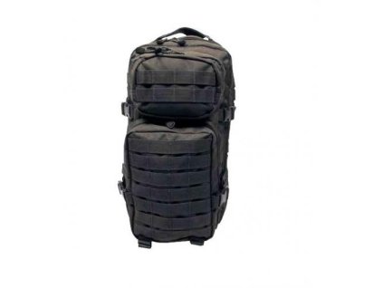 Batoh ASSAULT Pack US 20L molle oliv MFH malý