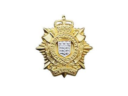 odznak-britsky-na-baret-velka-britanie-royal-logistic-corps-10th