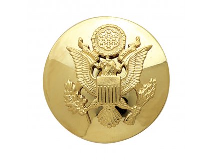 Odznak US zlatý Branch of Service Insignia