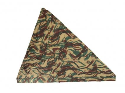 Celta trojúhelníková TAP47 D Lizard Francie originál
