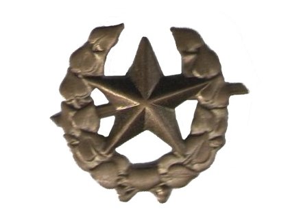 Odznak ČSLA vševojskový mořený