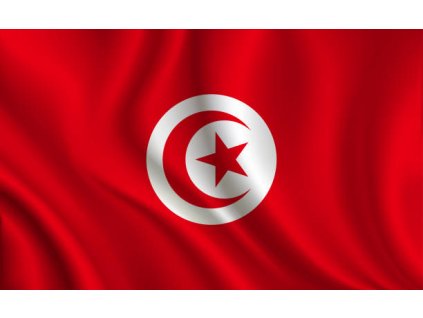 Praporek Tunis č.056