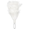 Chochol bílé peří na skotský baret Plume Feather Hackle White Royal Regiment of Scotland originál