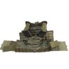 Taktická vesta,nosič plátů Warrior Assault Systems molle oliv