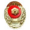 Odznak pro výsadkáře Armády České republiky zlatý II. stupně originál