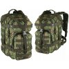 Batoh US ASSAULT Backpack PNC-GZ Pencott camo 25L molle CMG
