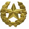 Odznak ČSLA vševojskový zlatý