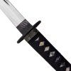 Genbu - Toryumon V2 Koshirae Iaito "RYU SUKASHI"