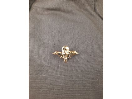 vysad odznak 1 zlaty 1 army hrusova cz