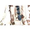 acr camelback desert detail armyhrusova cz