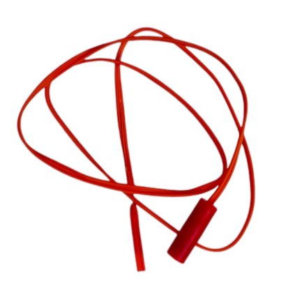 9724 photoroom 20241119 124322