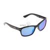 WX Helix Captivate Polarized Blue Mirror (Barva Black)