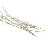 Ghillie Threads (Barva White)