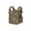 Raider Plate Carrier
