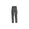 Raider Pants MK V (Barva Wolf Grey, Velikost 29/32)