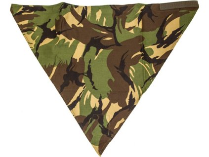 ba5603ef5223493d4fcc60cd29e5920b