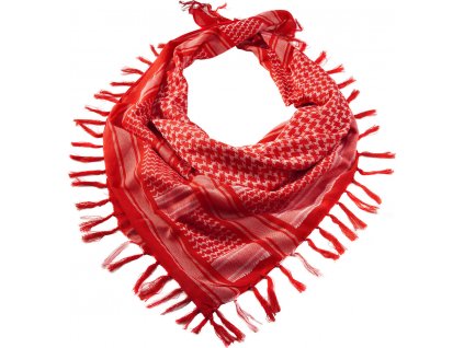 24956f074230591c7218d4fbcc66ad1b